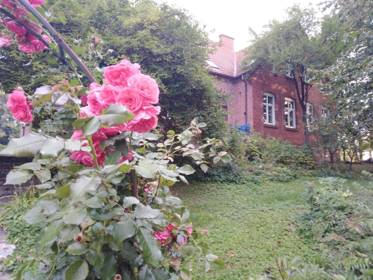 Alte Schule Am See بيسكوبييت المظهر الخارجي الصورة