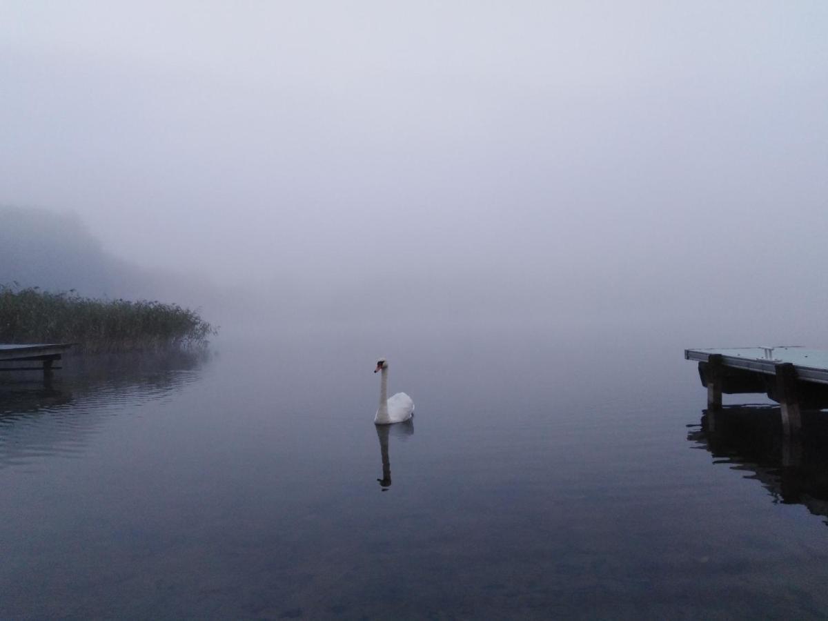 Alte Schule Am See بيسكوبييت المظهر الخارجي الصورة