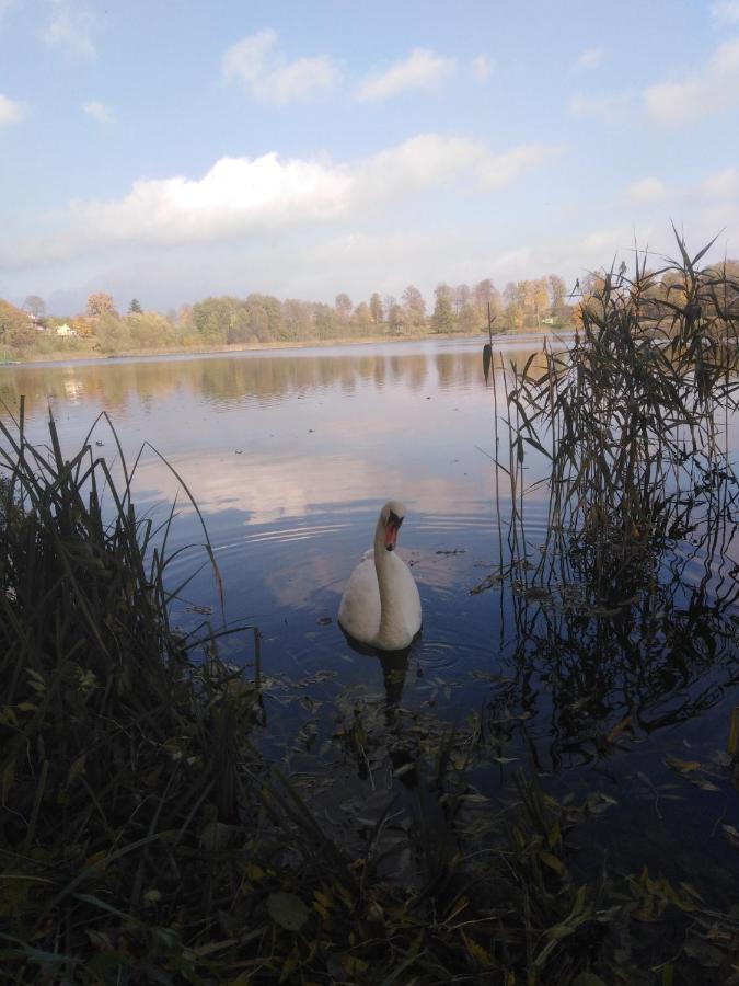 Alte Schule Am See بيسكوبييت المظهر الخارجي الصورة