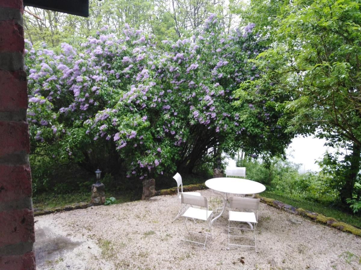 Alte Schule Am See بيسكوبييت المظهر الخارجي الصورة